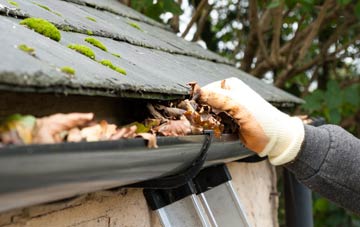 gutter cleaning Fron